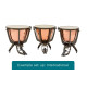 Majestic MJPR2300G Timpani, Prophonic Series, 23