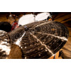 Meinl Cymbals B24FRR Byzance Foundry Reserve Ride - 24