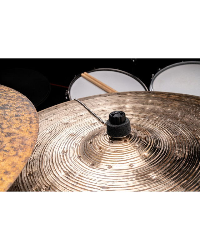 Meinl Cymbals BACON - Bacon