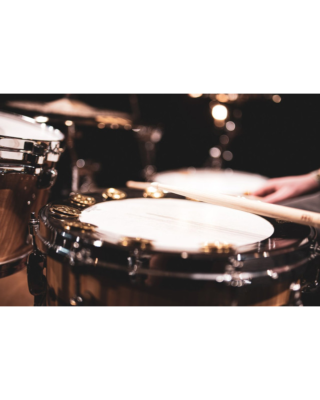 Meinl Cymbals BBP14 MEINL Percussion Backbeat Pro Tambourine - 14