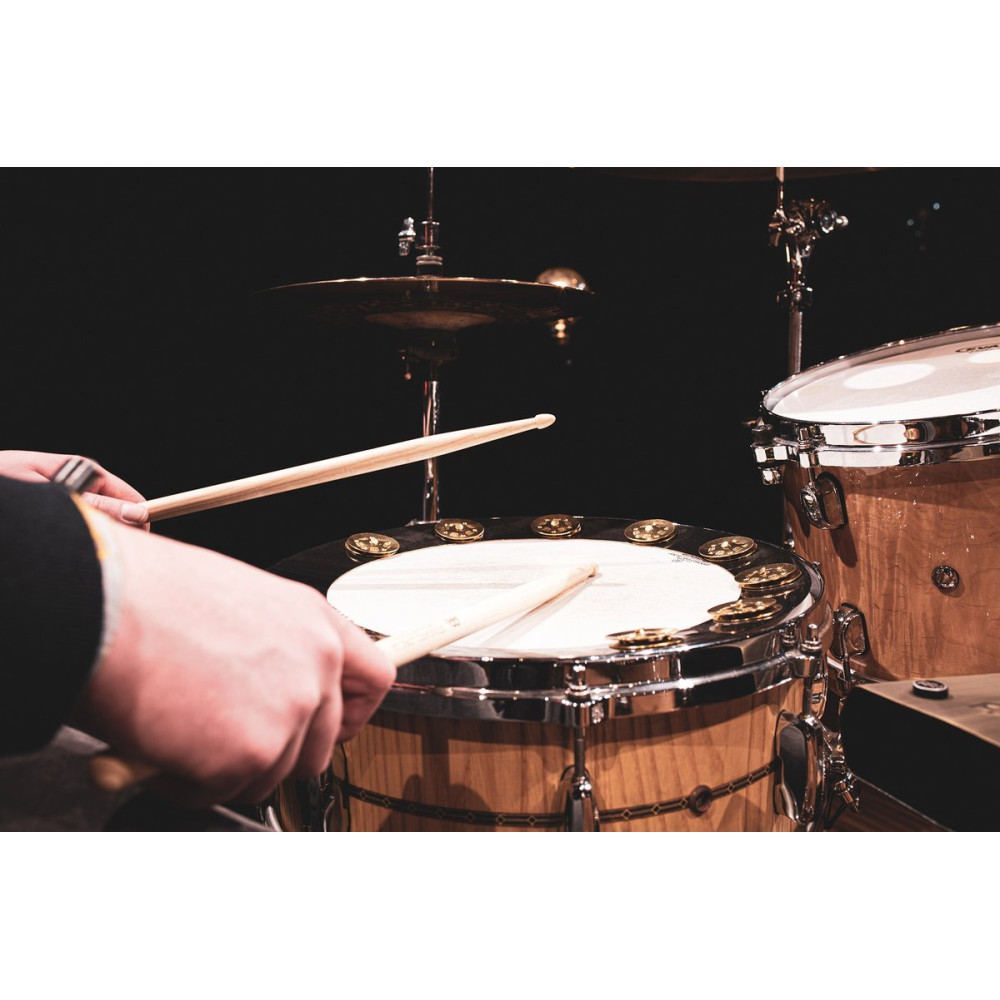 Meinl Cymbals BBP14 MEINL Percussion Backbeat Pro Tambourine - 14