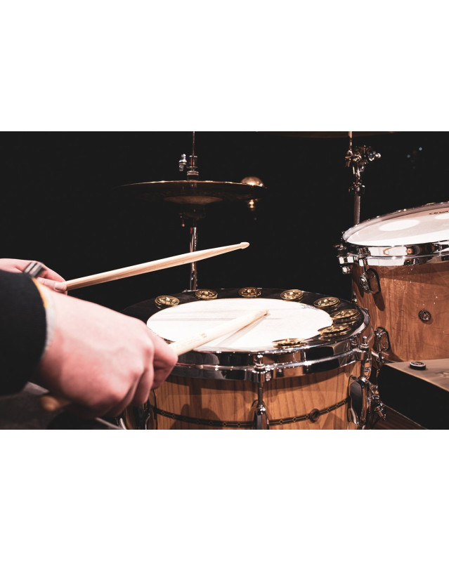 Meinl Cymbals BBP14 MEINL Percussion Backbeat Pro Tambourine - 14