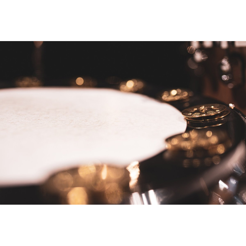 Meinl Cymbals BBP14 MEINL Percussion Backbeat Pro Tambourine - 14