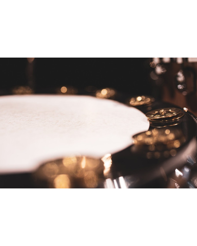 Meinl Cymbals BBP14 MEINL Percussion Backbeat Pro Tambourine - 14