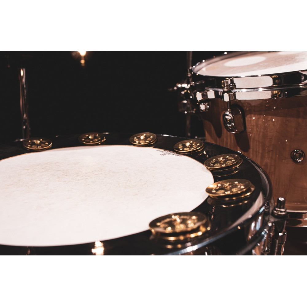 Meinl Cymbals BBP14 MEINL Percussion Backbeat Pro Tambourine - 14