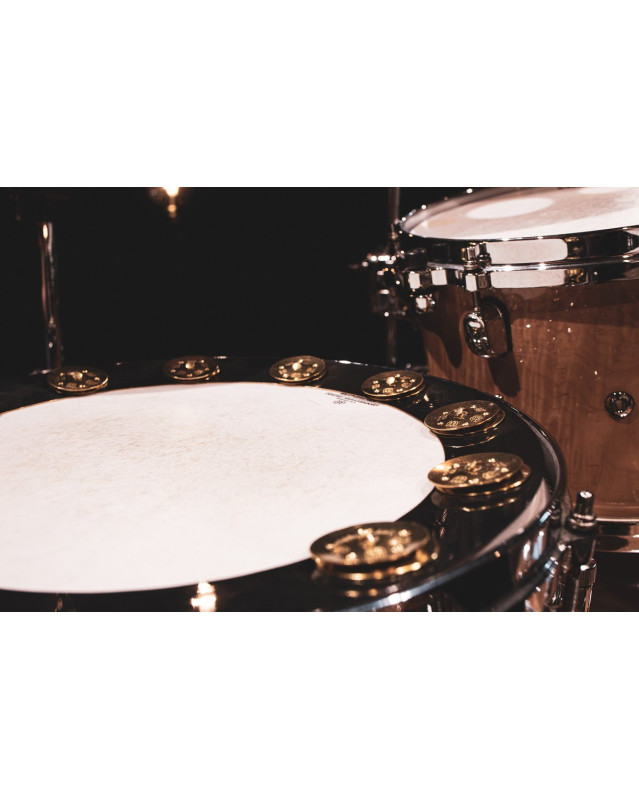 Meinl Cymbals BBP14 MEINL Percussion Backbeat Pro Tambourine - 14