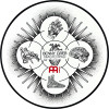 Meinl Cymbals MPP-12-BG Benny Greb Signature Practice Pad - 12