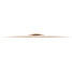 Meinl Cymbals PAC18TRC Pure Alloy Custom Medium Trash Crash - 18