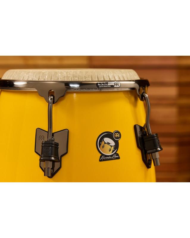 Meinl Percussion AA11SY Artist Series Alexandra Alban Signature 11