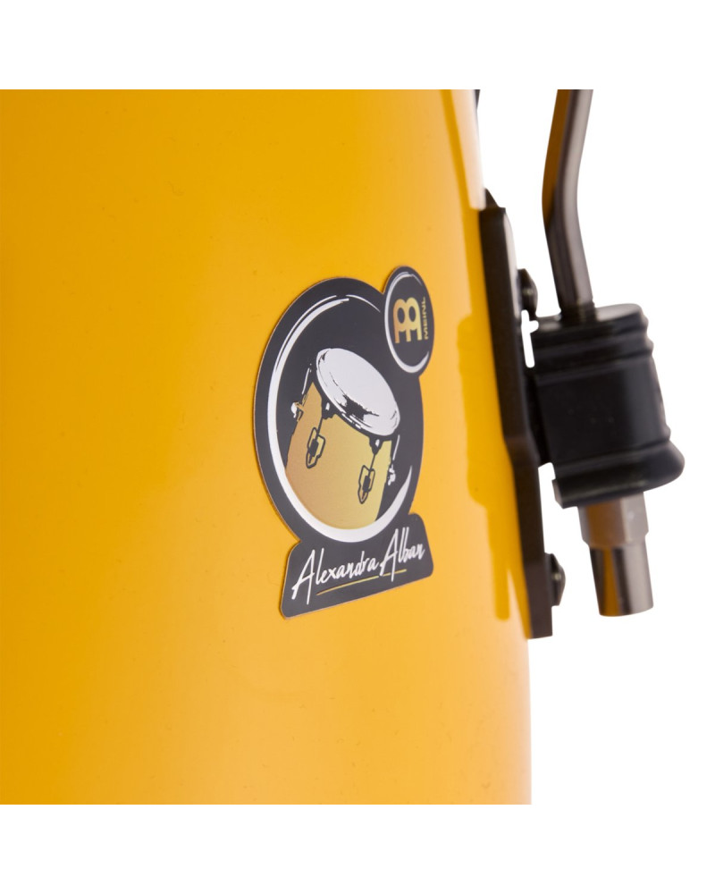 Meinl Percussion AA11SY Artist Series Alexandra Alban Signature 11