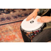 Meinl Percussion ADJ10-DA Alpine Series, Synthetic Djembe, Day of the Dead Finish - 10