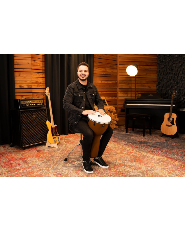 Meinl Percussion ADJ12-BW Alpine Series Djembe, Synthetic Head, Barnwood - 12