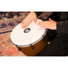 Meinl Percussion ADJ12-BW Alpine Series Djembe, Synthetic Head, Barnwood - 12