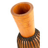 Meinl Percussion ADJ2-M+BAG Water Rhythm Series Djembe - Medium + Bag
