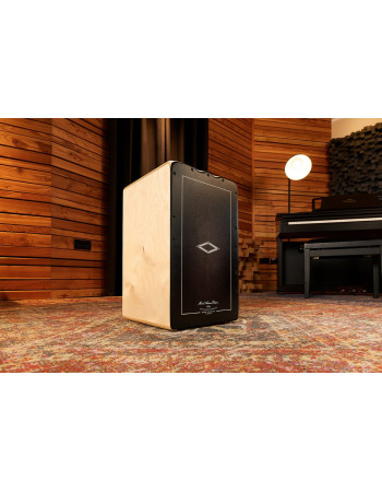 Meinl Percussion AESLEYB Artisan Edition Series String Cajon Soleá Line - Ebony Burst