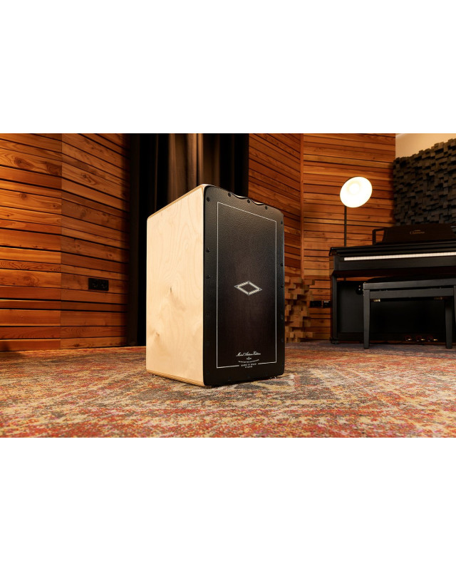Meinl Percussion AESLEYB Artisan Edition Series String Cajon Soleá Line - Ebony Burst