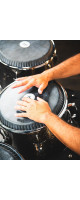Meinl Percussion DG1134MS Artist Series Diego Galé Conga 11