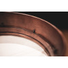 Meinl Percussion FD12BE Bendir - 12