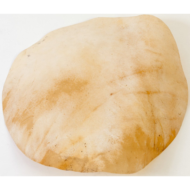 Meinl Percussion HEAD-116 goat head - for djembefola