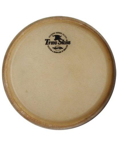Meinl Percussion HEAD-28 head for MEC11 Marathon MEC + current MCC series conga - 11