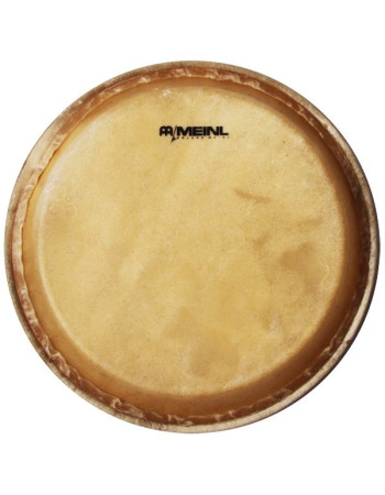 Meinl Percussion HEAD-34 head for MC1112 marathon - 12 1/2