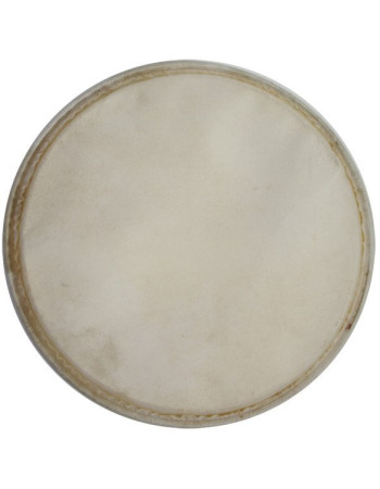 Meinl Percussion HEAD-77 head for plenera set - 12