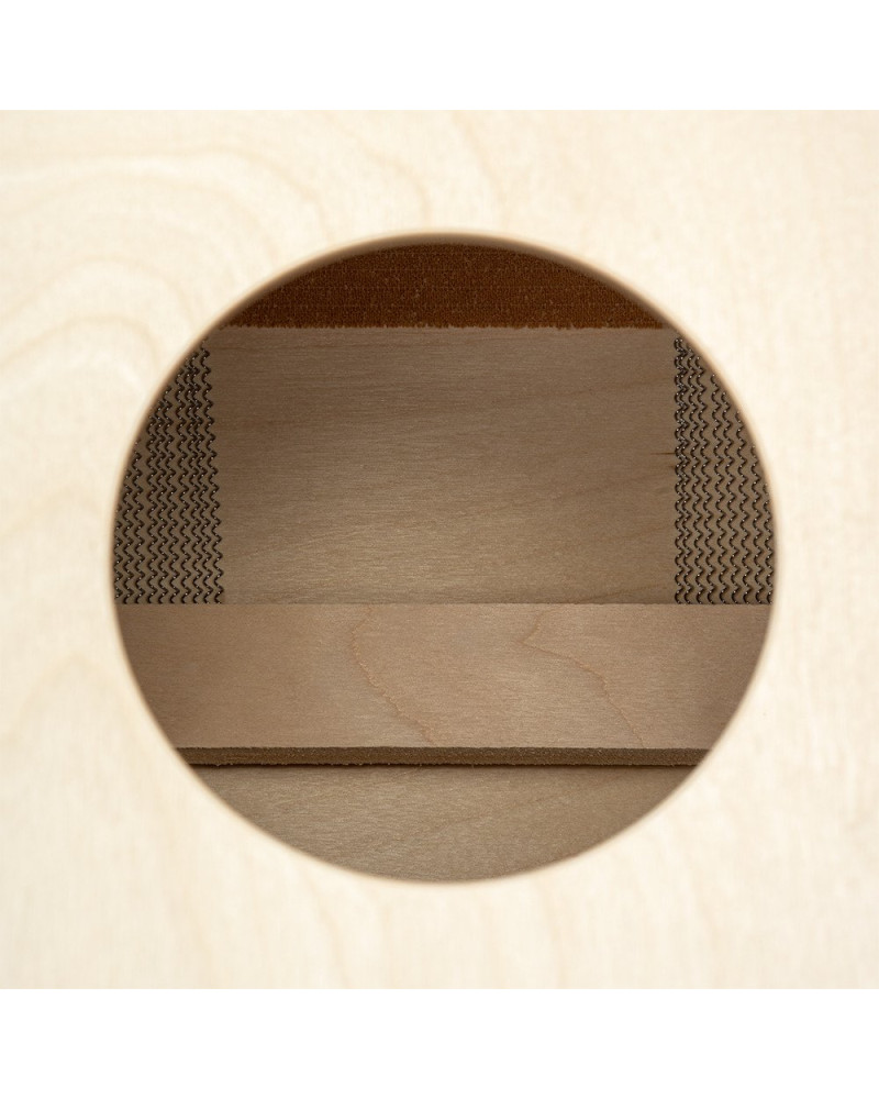 Meinl Percussion JC50BW Jam Series Snare Cajon 50 - Burl Wood