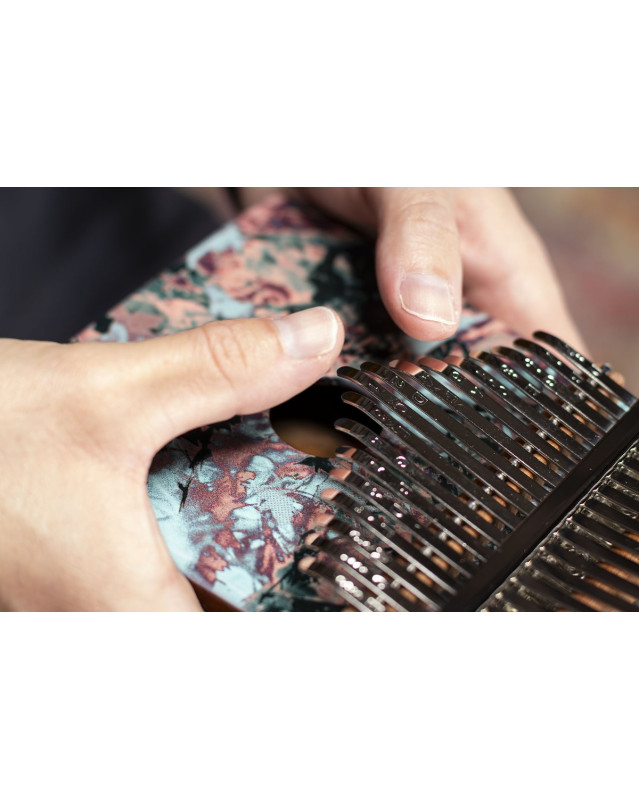 Meinl Percussion KA17CR Sound Hole Designer Kalimba - Coral Reef