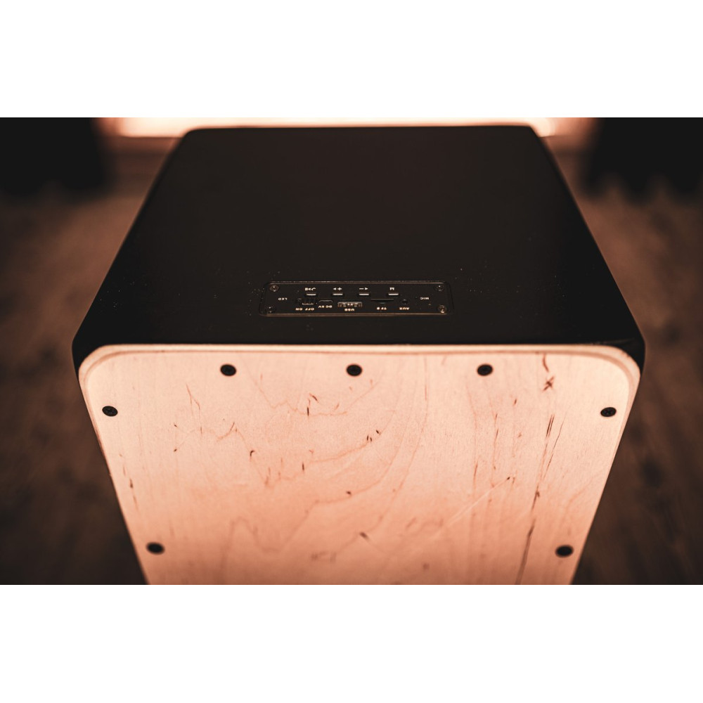 Meinl Percussion MPSCAJ Electronic Series Speaker Cajon