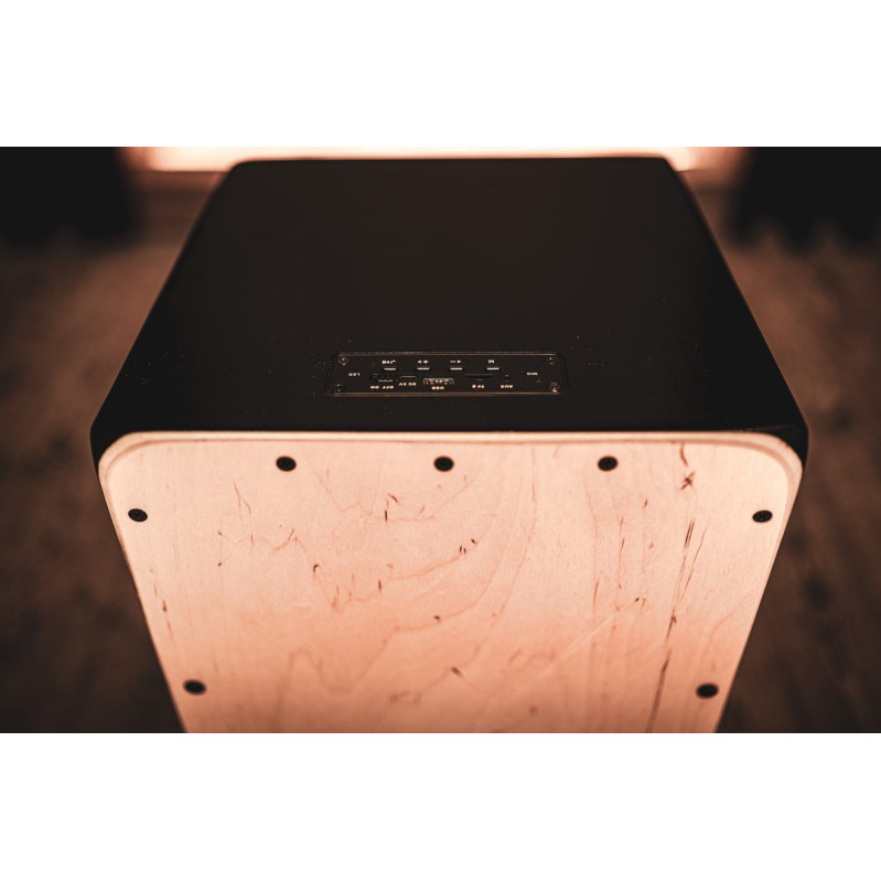 Meinl Percussion MPSCAJ Electronic Series Speaker Cajon
