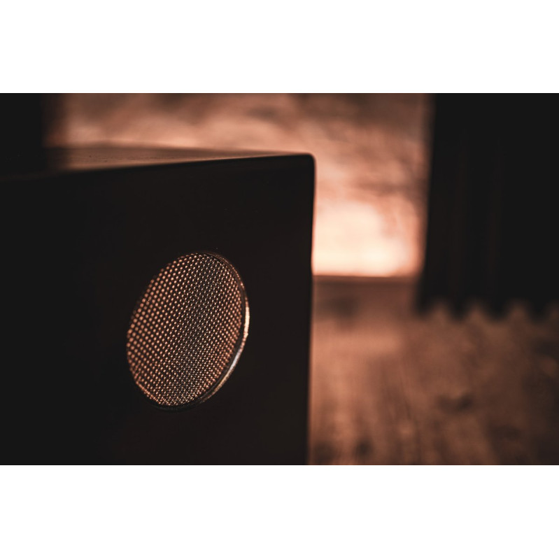 Meinl Percussion MPSCAJ Electronic Series Speaker Cajon