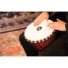 Meinl Percussion PADJ1-M-F Travel Series African Djembe 10