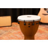 Meinl Percussion PADJ12-BW Alpine Series Pickup Djembe 12