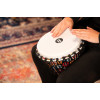 Meinl Percussion PADJ7-M-F Travel Series Djembe 10