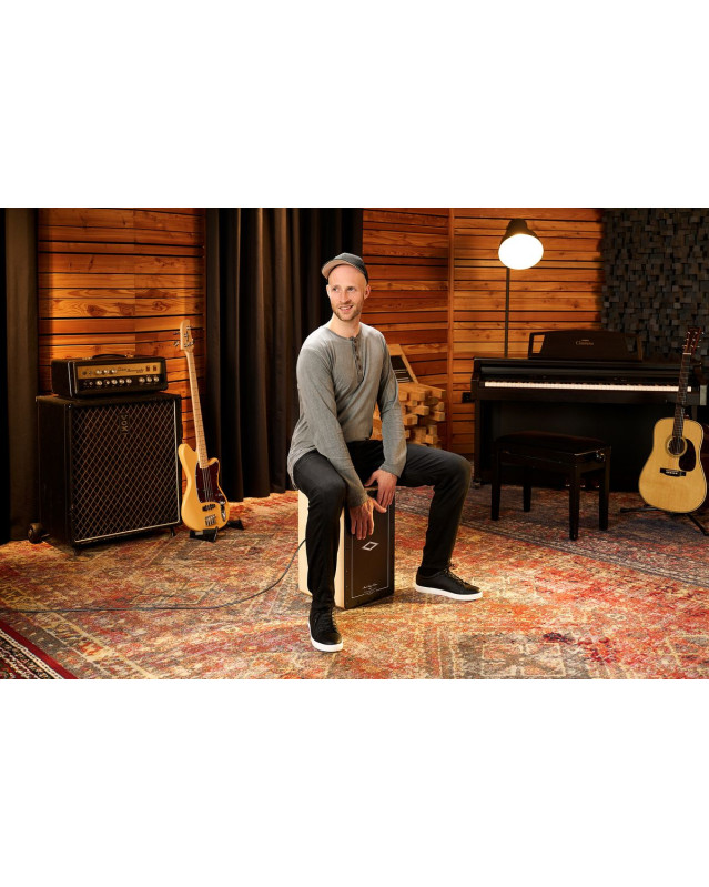 Meinl Percussion PAESLDOB Artisan Edition Pickup Cajon Soleá Line - Dark Olive Burst