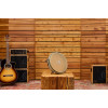 Meinl Percussion PL10CW Pandero de Plena 10