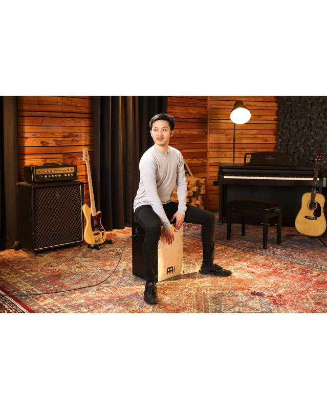 Meinl Percussion PSUBCAJ6B Bass Series Pickup Vertical Subwoofer Cajon - Baltic Birch