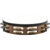 Meinl Percussion TAH2WB Traditional Wood Series Headed Tambourine - 10