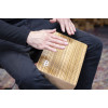 Meinl Percussion TMBX BoXito