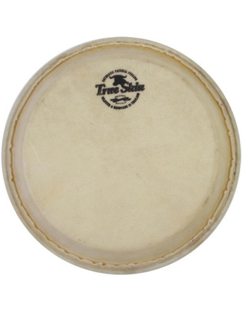Meinl Percussion TS-B-19 True Skin conga head - 12 1/2