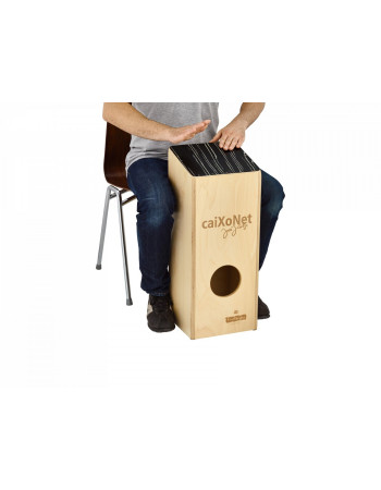 Meinl Percussion VR-CAIXN MEINL Drum Circle Cajon Series Caixonet