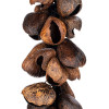 Meinl Percussion WA5 Pangi Waterfall Shaker, 40 Seeds