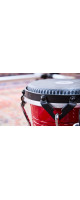 Meinl Percussion WBTR300WR Marathon Traditional Bongo 6 3/4
