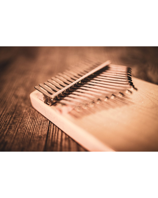 Meinl Sonic Energy 1B-KL1704S Solid Kalimba, 17 notes, maple