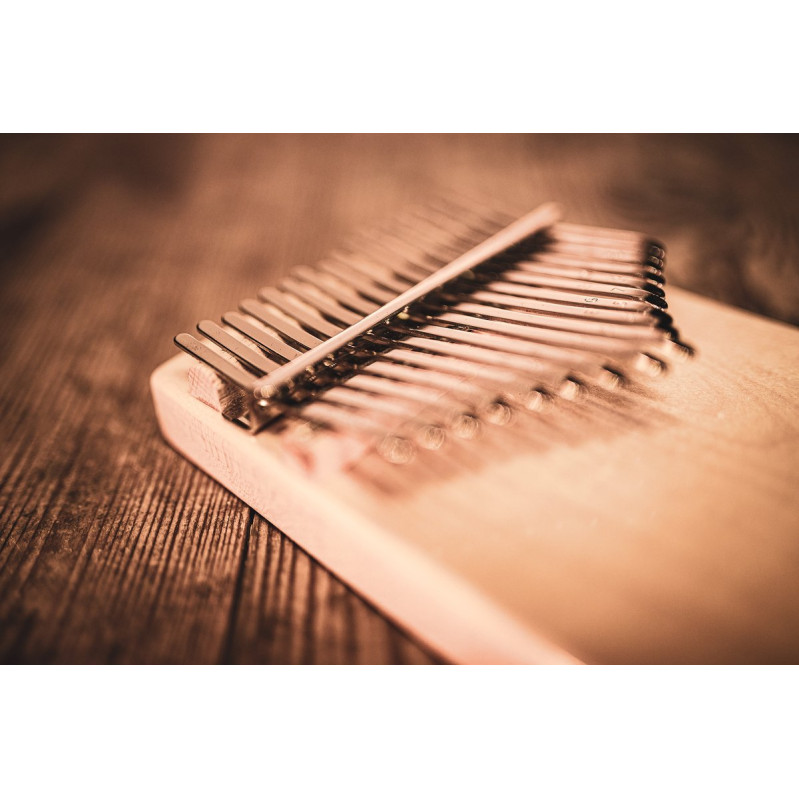 Meinl Sonic Energy 1B-KL1704S Solid Kalimba, 17 notes, maple