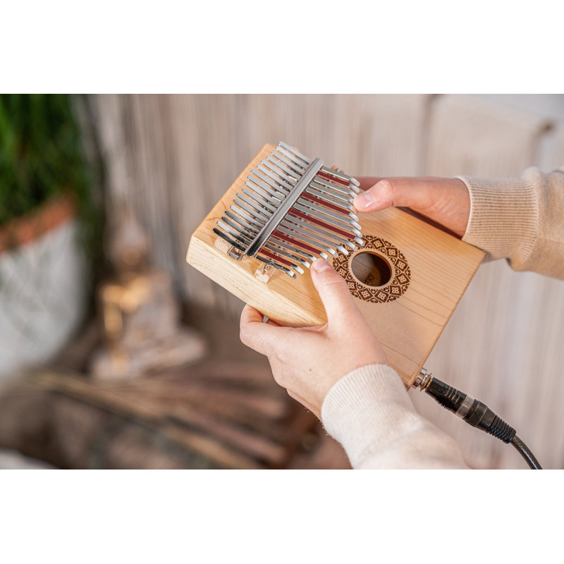 Meinl Sonic Energy 1B-PKL1709H Soundhole Pickup Kalimba - 17 notes/maple
