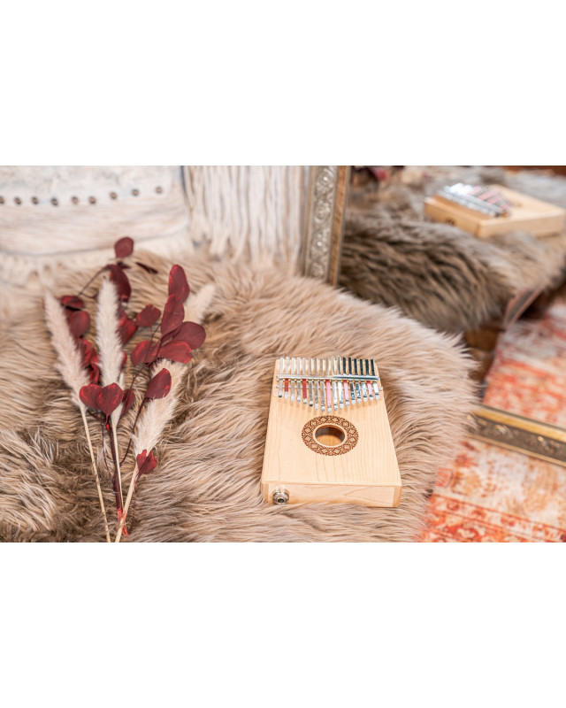 Meinl Sonic Energy 1B-PKL1709H Soundhole Pickup Kalimba - 17 notes/maple