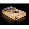Meinl Sonic Energy 1B-PKL1709H Soundhole Pickup Kalimba - 17 notes/maple
