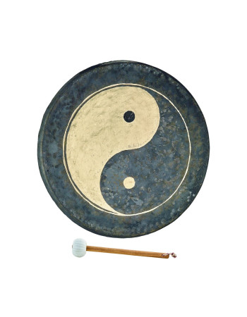 Meinl Sonic Energy CHYY20 20