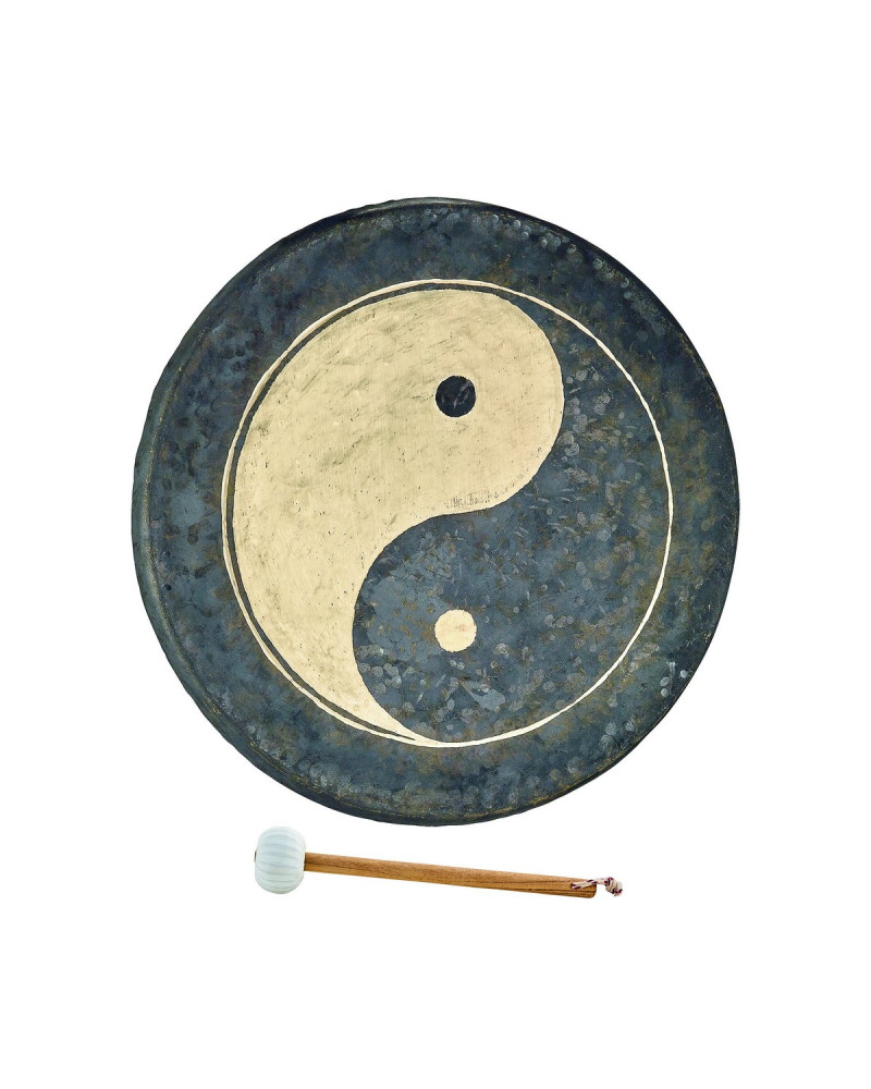 Meinl Sonic Energy CHYY20 20